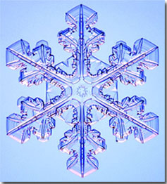 [Snowflake]
