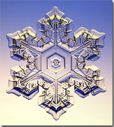 [Snowflake]