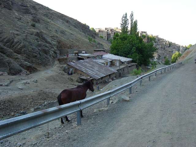 [2004_06_16/07_39_39.jpg]