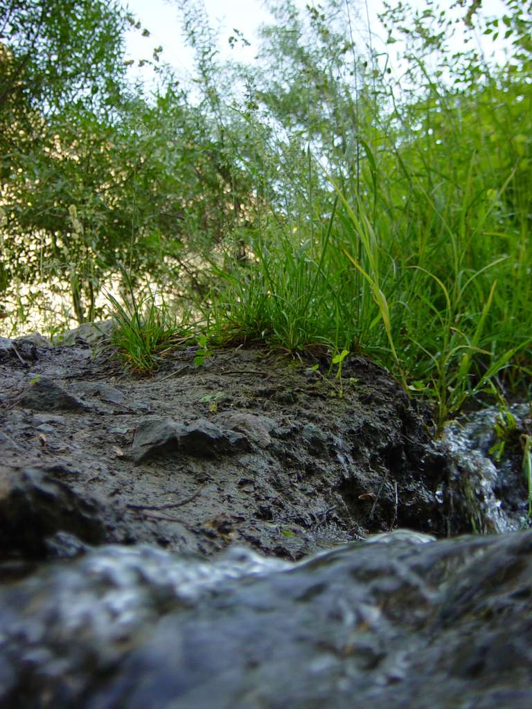 [2004_06_16/08_58_34.jpg]