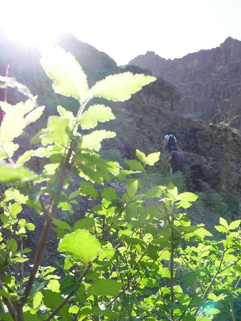 [2004_06_16/09_07_15.jpg]