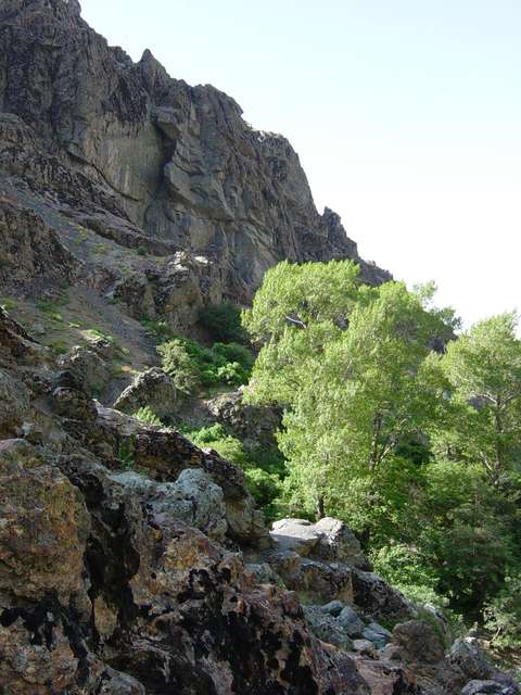 [2004_06_16/09_09_11.jpg]