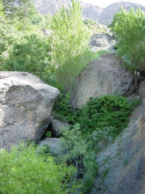 [2004_06_16/09_09_49.jpg]