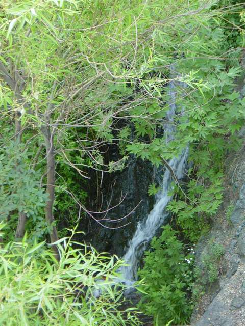 [2004_06_16/09_10_42.jpg]