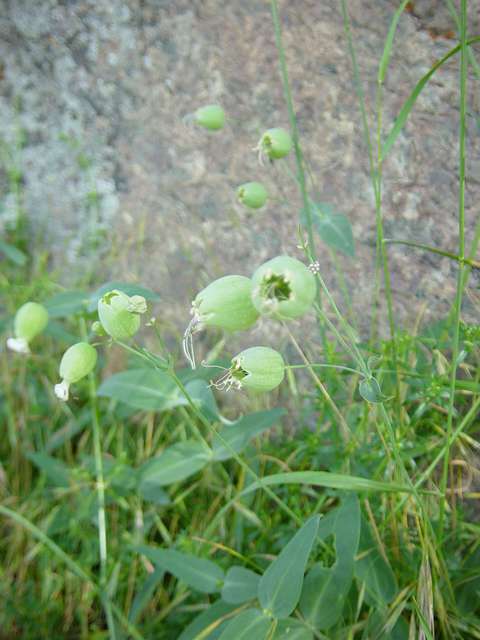 [2004_06_16/09_36_31.jpg]