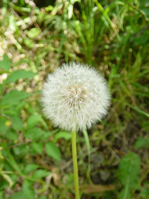 [2004_06_16/10_09_44.jpg]