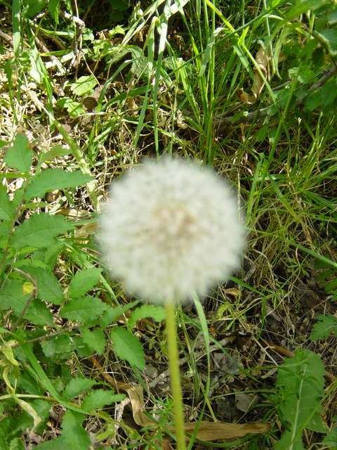 [2004_06_16/10_09_52.jpg]