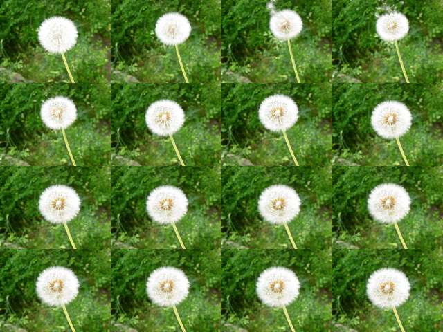[2004_06_16/10_10_42.jpg]