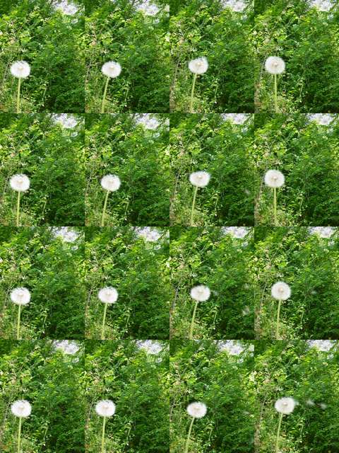 [2004_06_16/10_11_20.jpg]