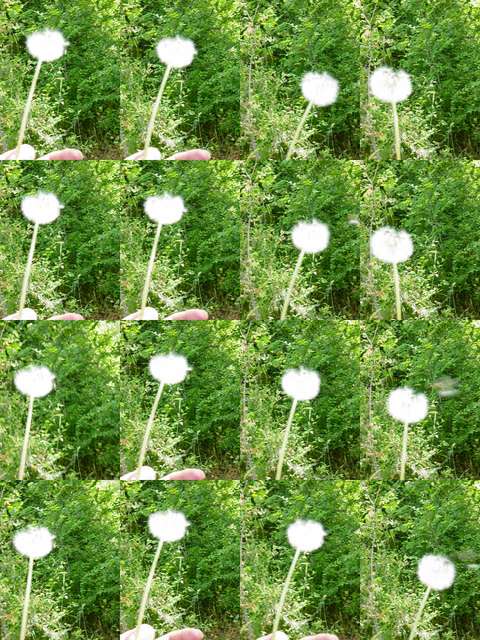[2004_06_16/10_11_41.jpg]