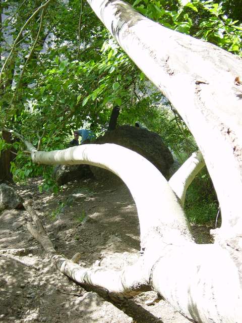 [2004_06_16/10_25_29.jpg]