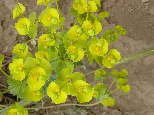 [2004_06_16/12_25_41.jpg]