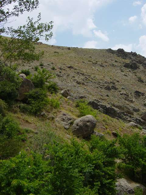 [2004_06_16/12_28_14.jpg]