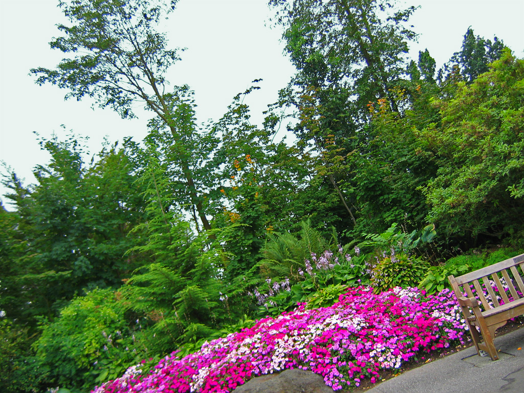 [2005_07_23-queen-elizabeth-park/IMG_1023_f1.jpg]