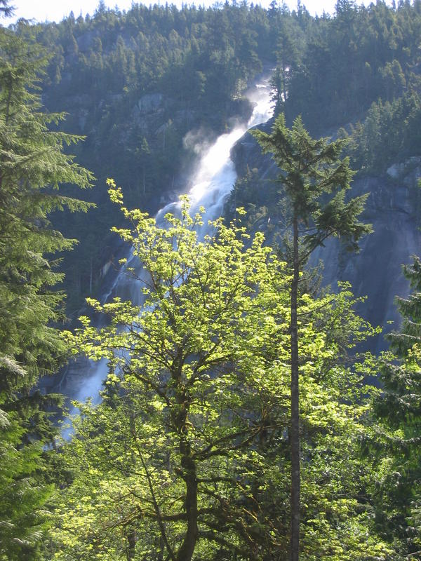 [2006_05_14-the-chief/11_48_21.jpg]