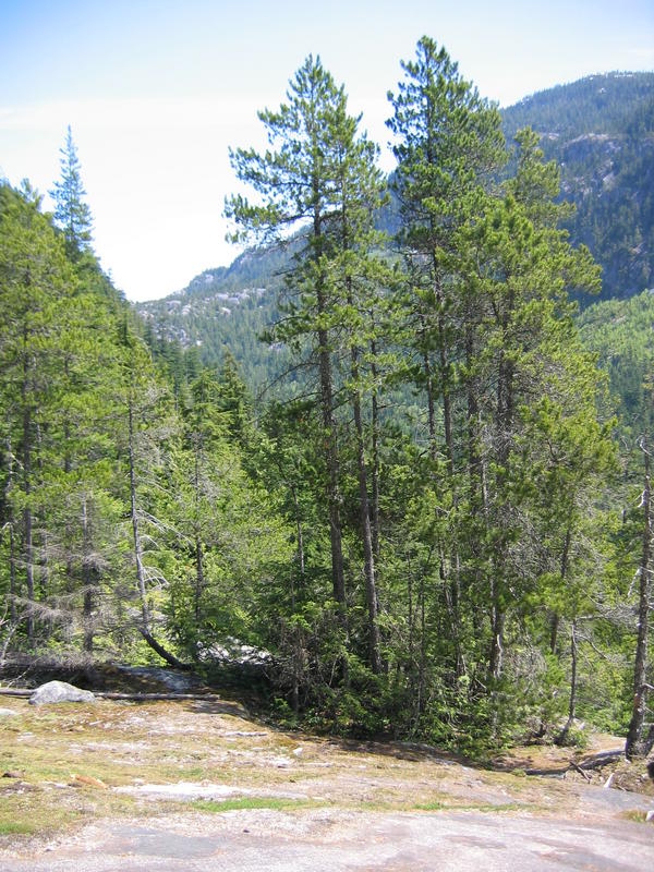 [2006_05_14-the-chief/13_19_03.jpg]