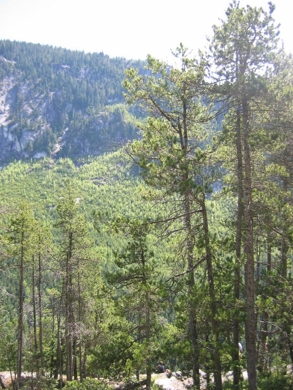 [2006_05_14-the-chief/13_19_36.jpg]