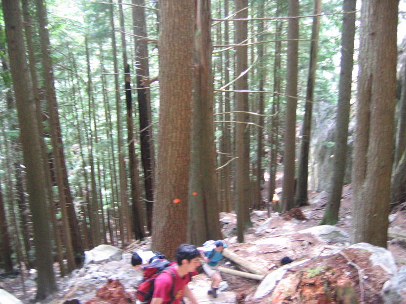 [2006_05_14-the-chief/13_41_34.jpg]
