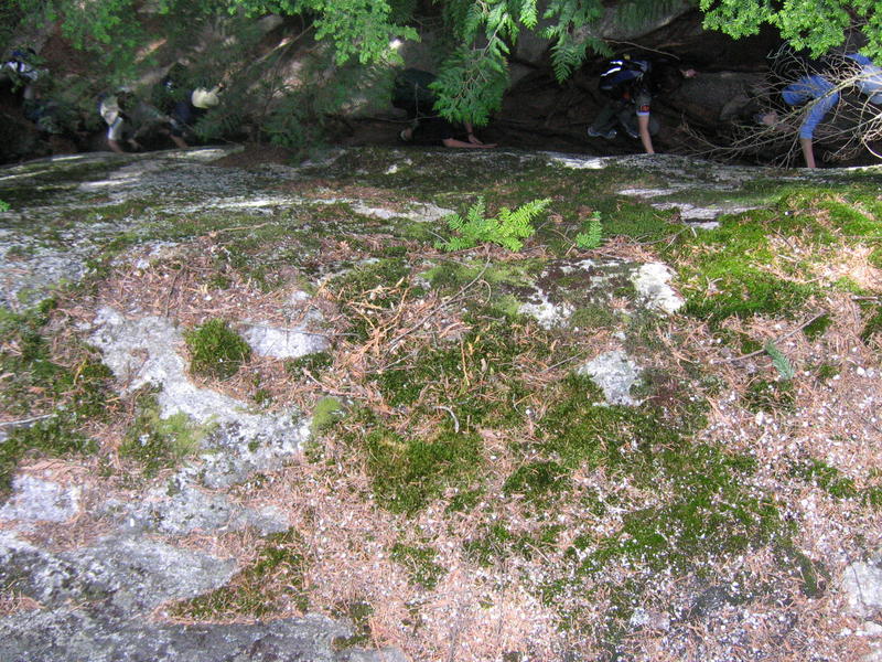 [2006_05_14-the-chief/13_55_21.jpg]