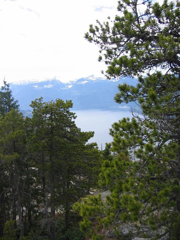 [2006_05_14-the-chief/14_21_40.jpg]