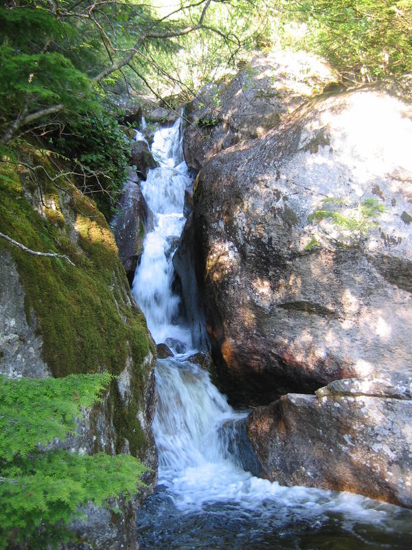 [2006_05_14-the-chief/18_52_17.jpg]