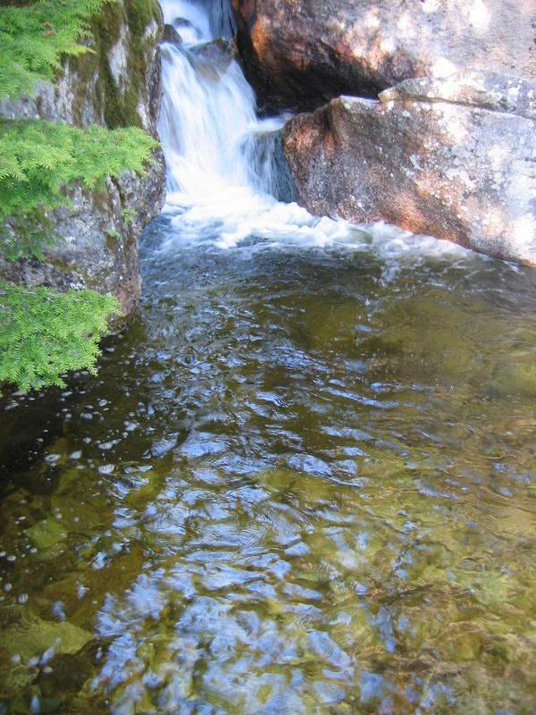 [2006_05_14-the-chief/18_52_23.jpg]