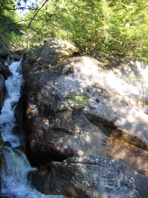 [2006_05_14-the-chief/18_52_29.jpg]
