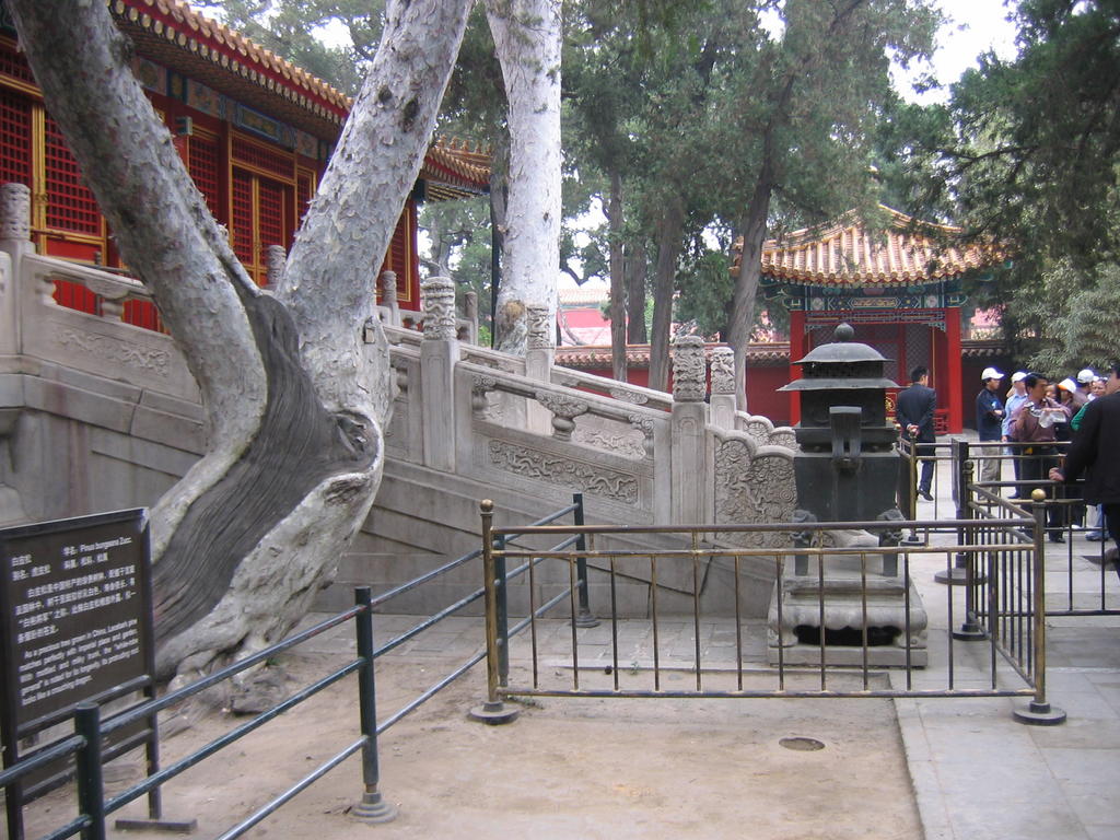 [2006_10-Beijing-China/2006_10_13-21_12_04.jpg]