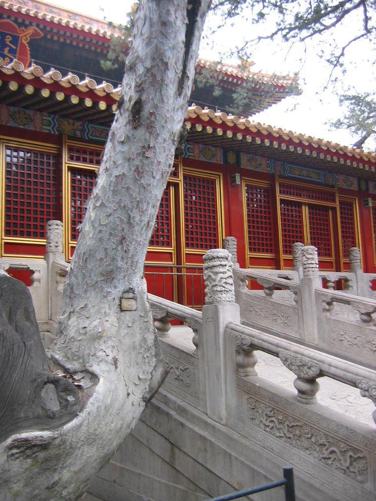 [2006_10-Beijing-China/2006_10_13-21_12_29.jpg]
