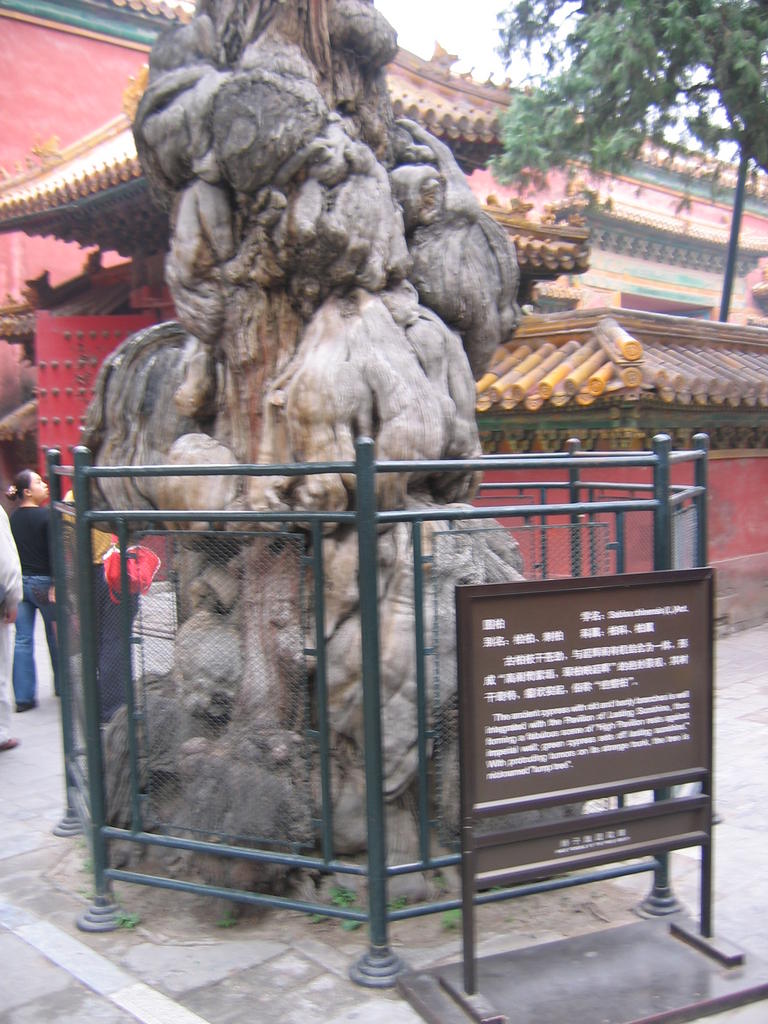 [2006_10-Beijing-China/2006_10_13-21_17_14.jpg]