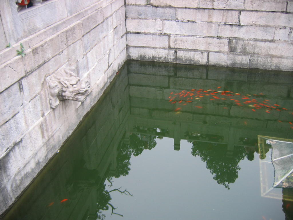[2006_10-Beijing-China/2006_10_13-21_18_34.jpg]