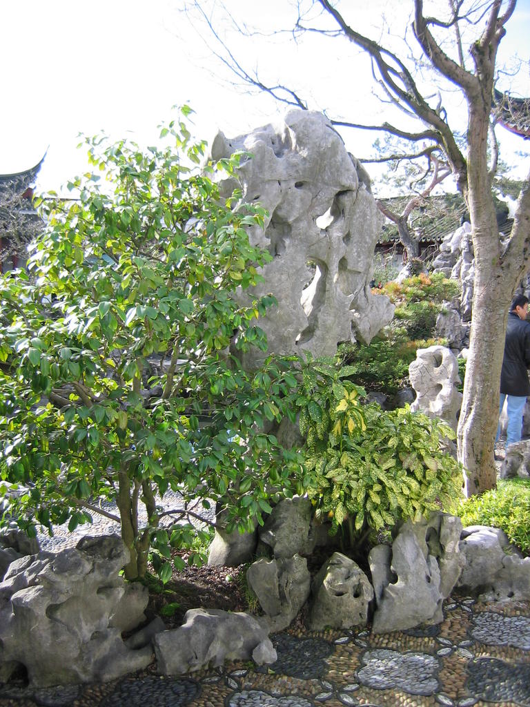 [2007_02_18-chinese-new-year/12_24_07.jpg]