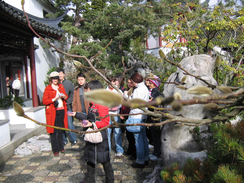 [2007_02_18-chinese-new-year/12_32_32.jpg]
