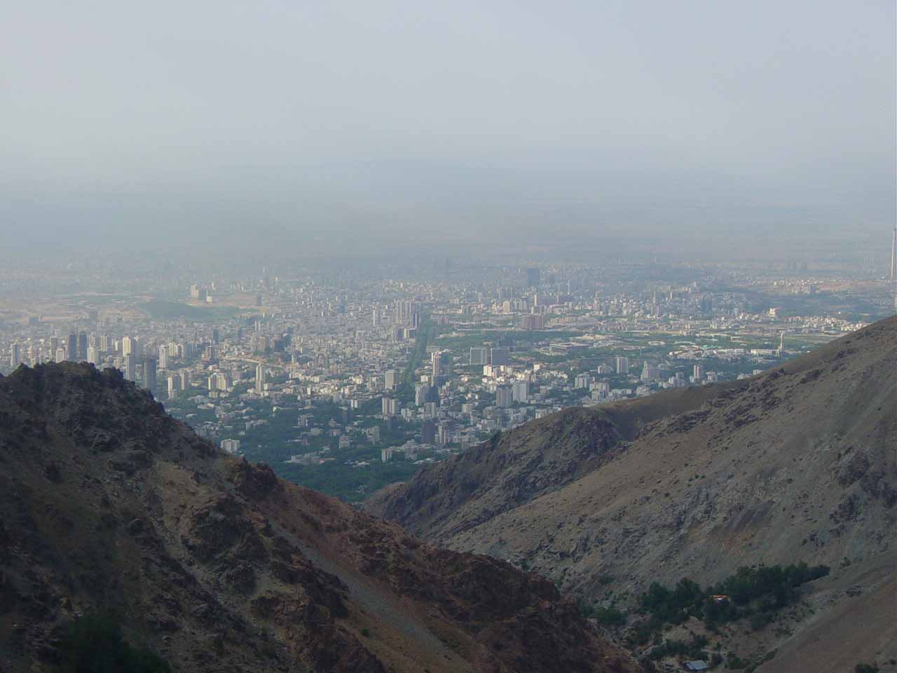 [81-05-11/004.jpg]