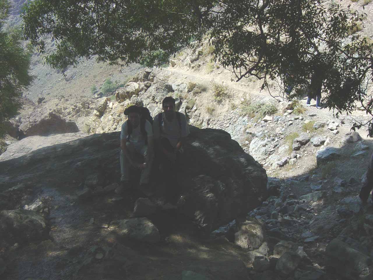 [81-05-11/011.jpg]