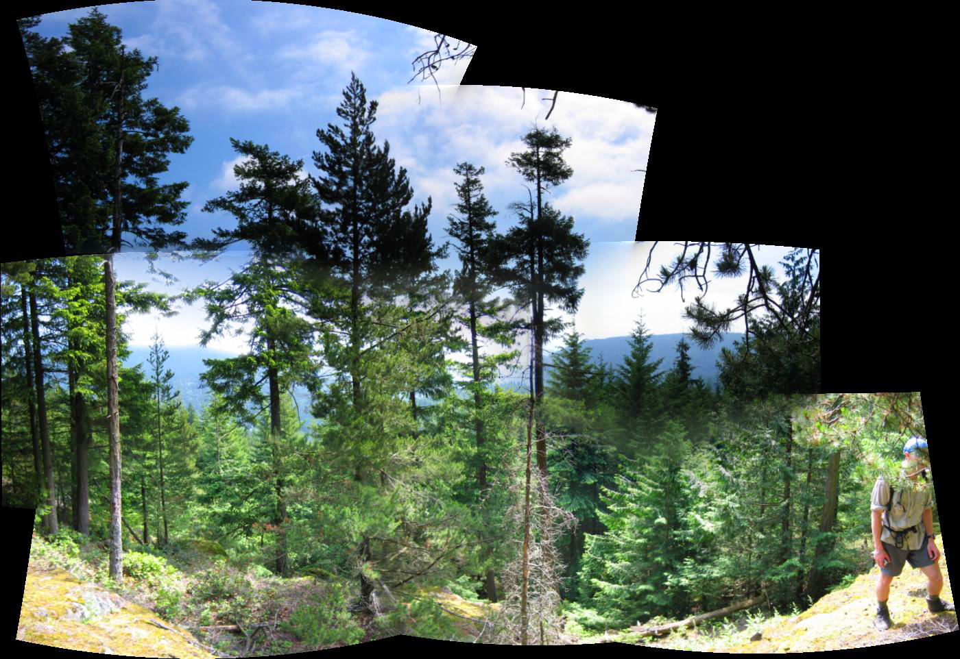 [bowenisland-2005_05_29/pano2e2.jpg]