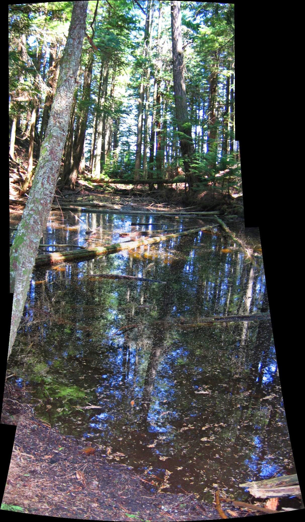 [bowenisland-2005_05_29/pano3e.jpg]
