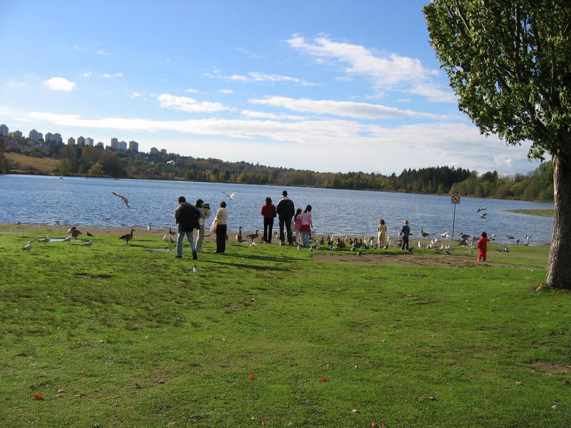 [deerlakepark-2005_10_15/15_50_00.jpg]