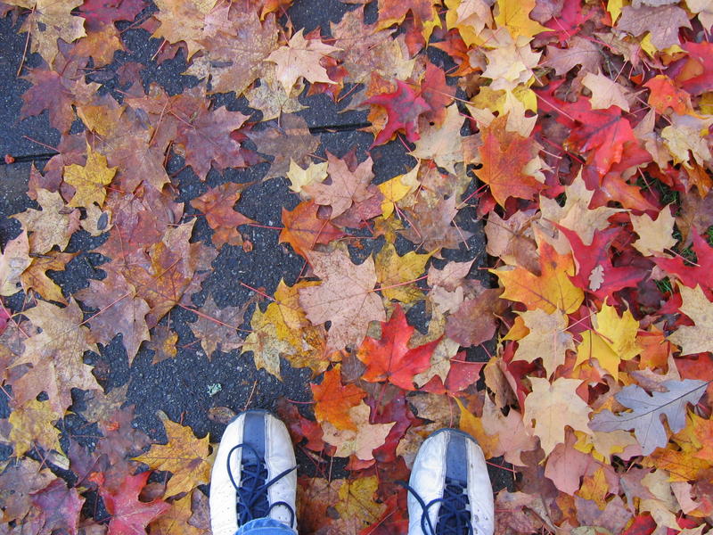 [deerlakepark-2005_10_15/16_55_41.jpg]
