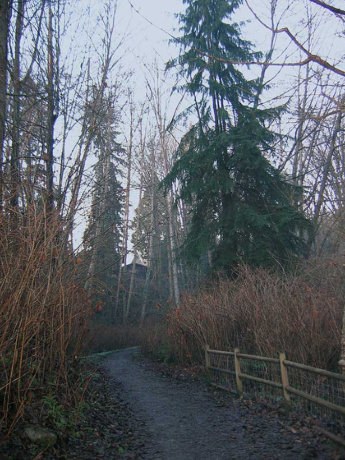 [misc1/IMG_0612_2.jpg]