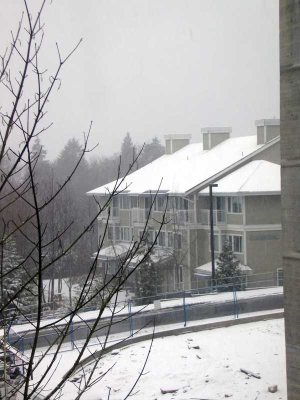 [misc1/IMG_0616_2.JPG]