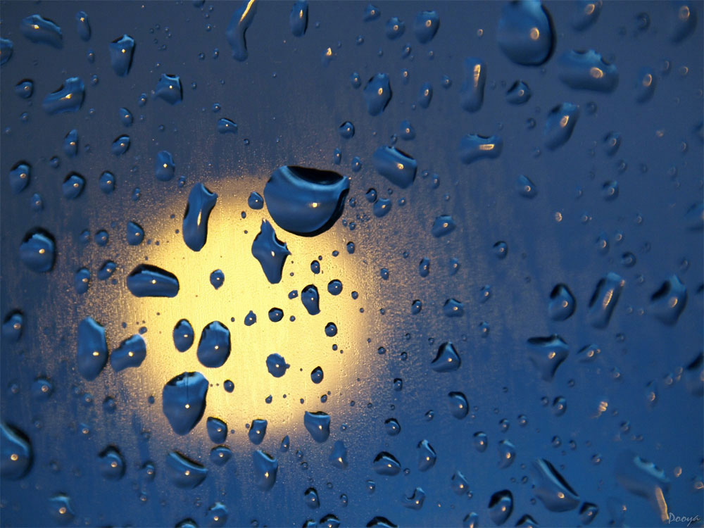 [misc1/rain2.jpg]