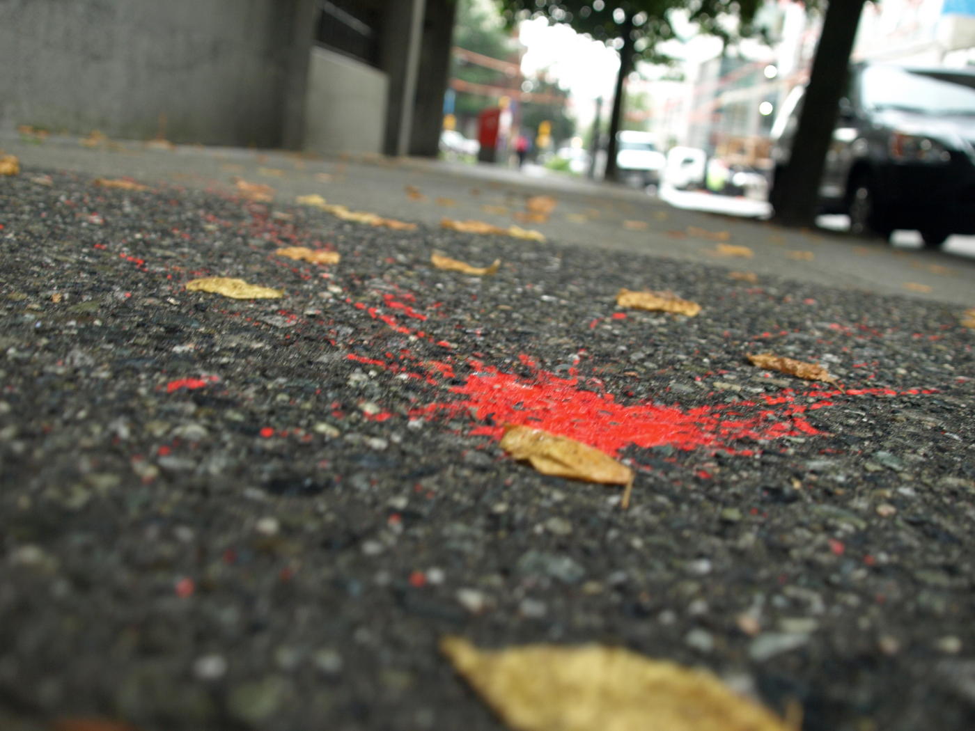 [misc1/sep2008-fall.jpg]