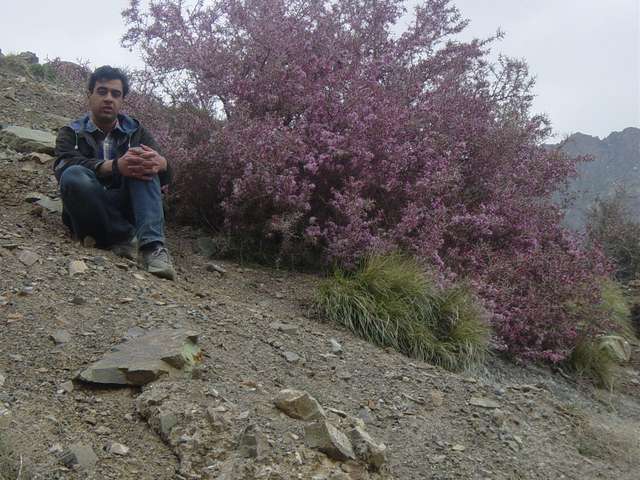 [mountain-2004-04-16/pic16.jpg]
