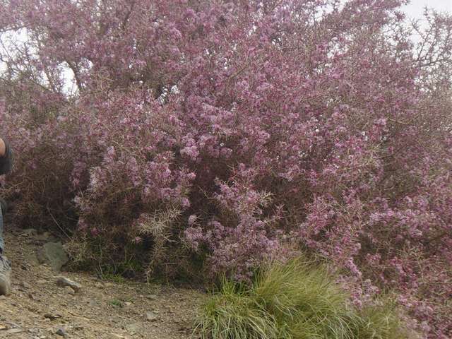 [mountain-2004-04-16/pic17.jpg]