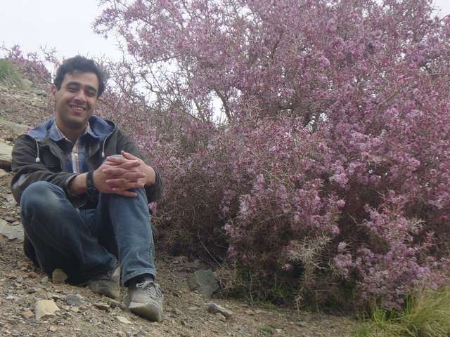 [mountain-2004-04-16/pic18.jpg]