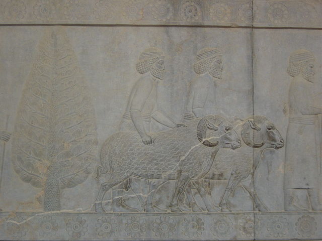 [shiraz1rev/2002_11_01-10_22_41.jpg]