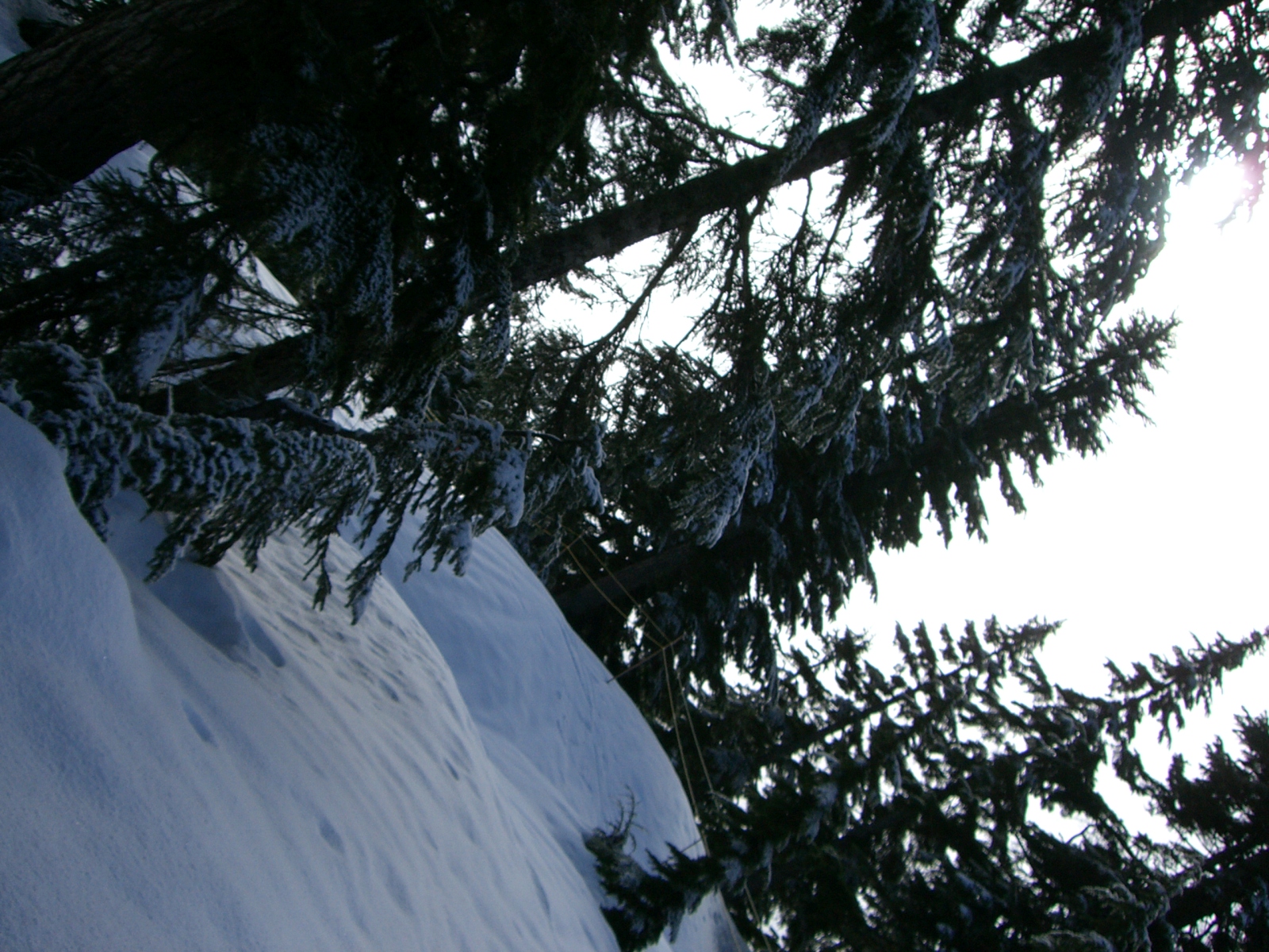 [ski-2007_03_31/CIMG0008.JPG]