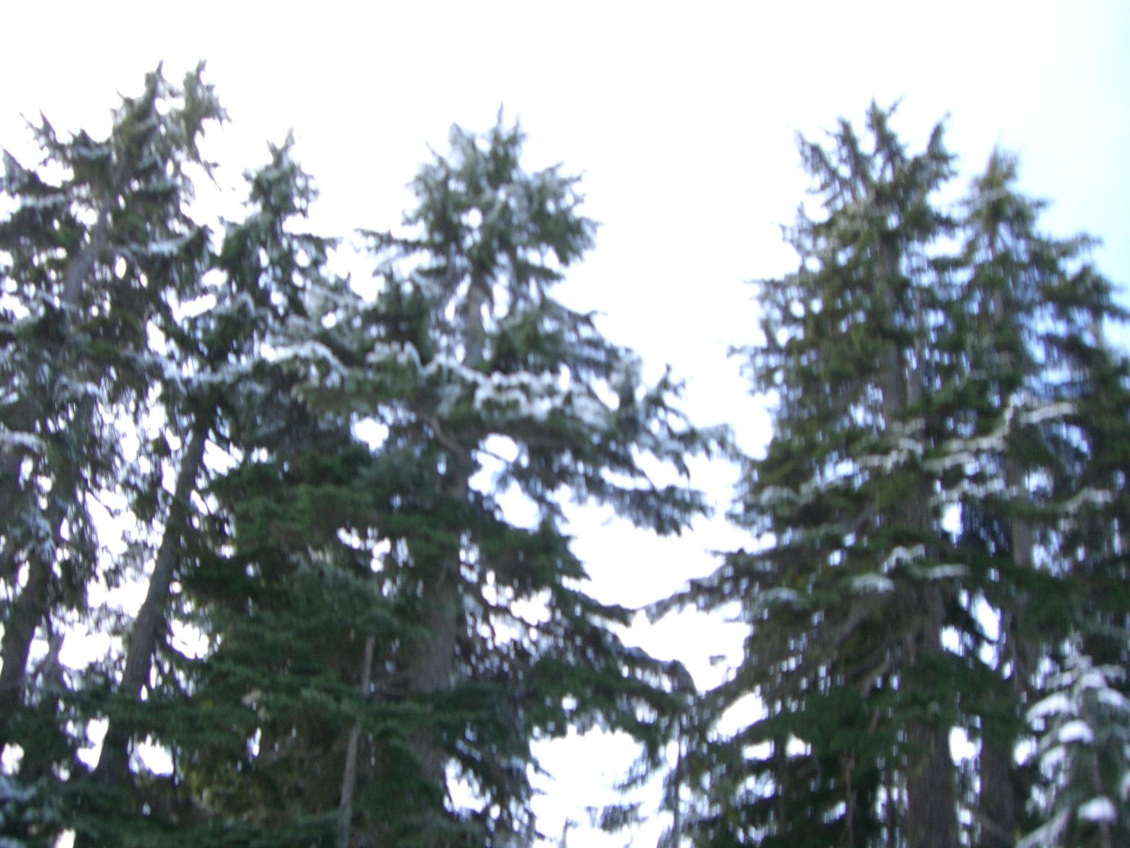 [ski-2007_03_31/CIMG0010.JPG]