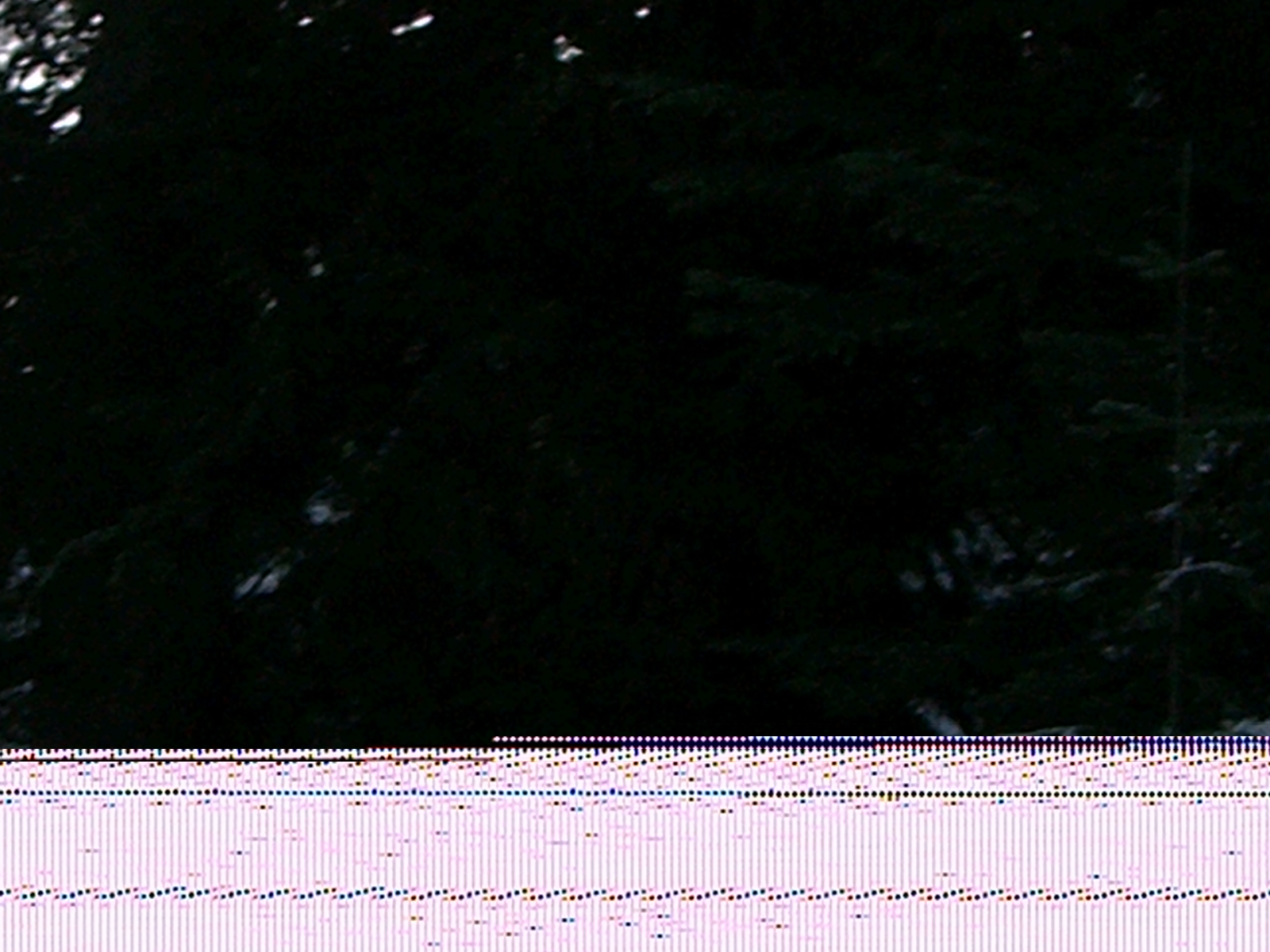 [ski-2007_03_31/CIMG0012.JPG]